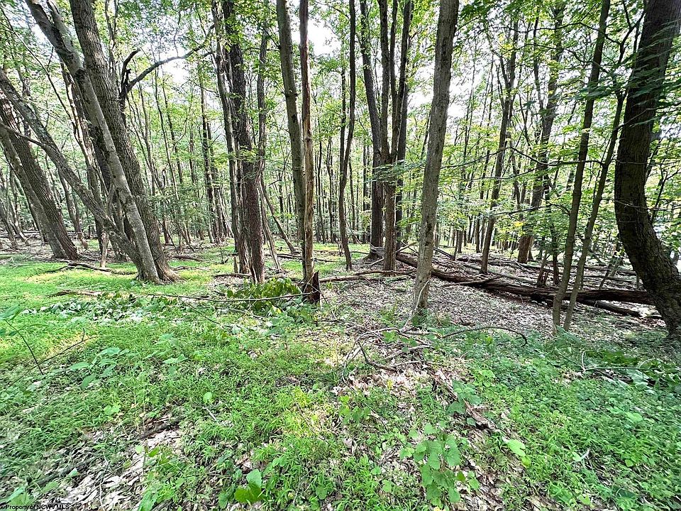 1st image of Lots 67 & 68 Clover Dr
