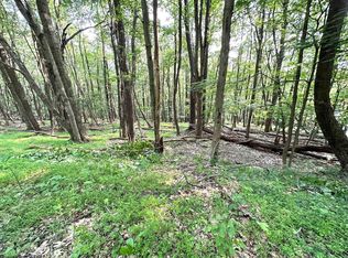 Lots 67 & 68 Clover Dr, Terra Alta, WV 26764