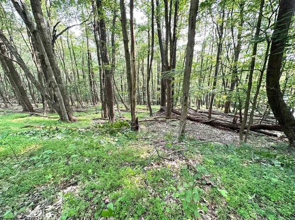 Lots 67 & 68 Clover Dr, Terra Alta, WV 26764