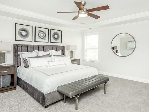 Model Representation