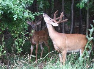 1 Lake Henry Rd, Lake Ariel, PA 18436