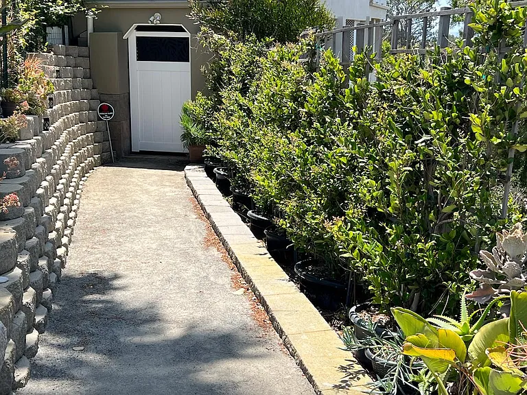 963 Emma Dr — Photo 2