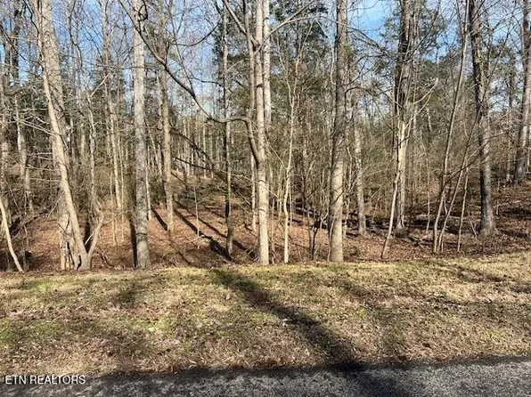 0 E Shore Dr Lot 33, Rockwood, TN 37854