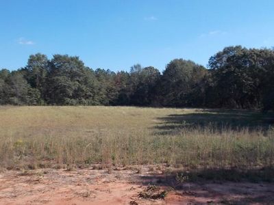 LOT 8th LOT 8, Ellaville, GA, 31806
