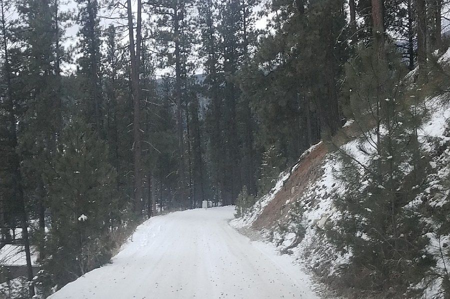 2nd image of 557 Raven Wood