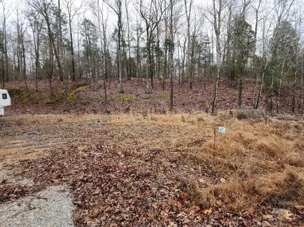 384 Ramblingwood Dr, Big Sandy, TN 38221