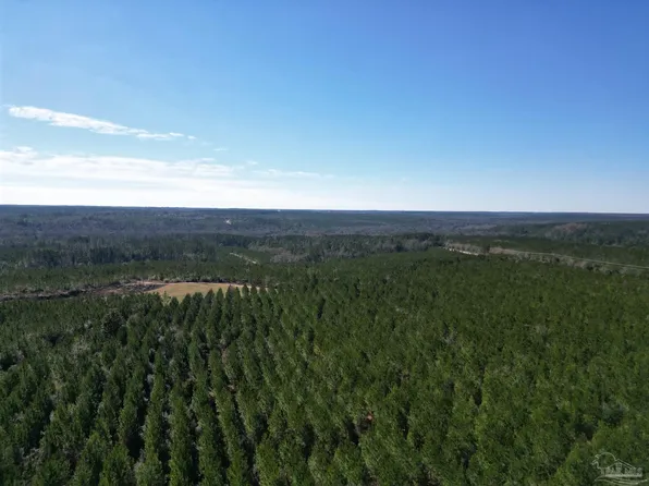 4 Robinsonville Rd, Atmore, AL 36502