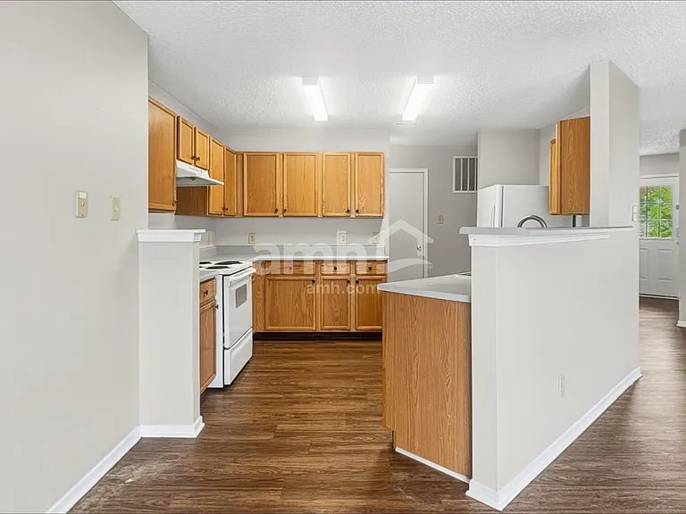 1315 King Maple Dr — Photo 3