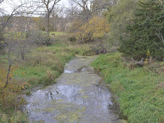 Flowing streams.  Spring fed