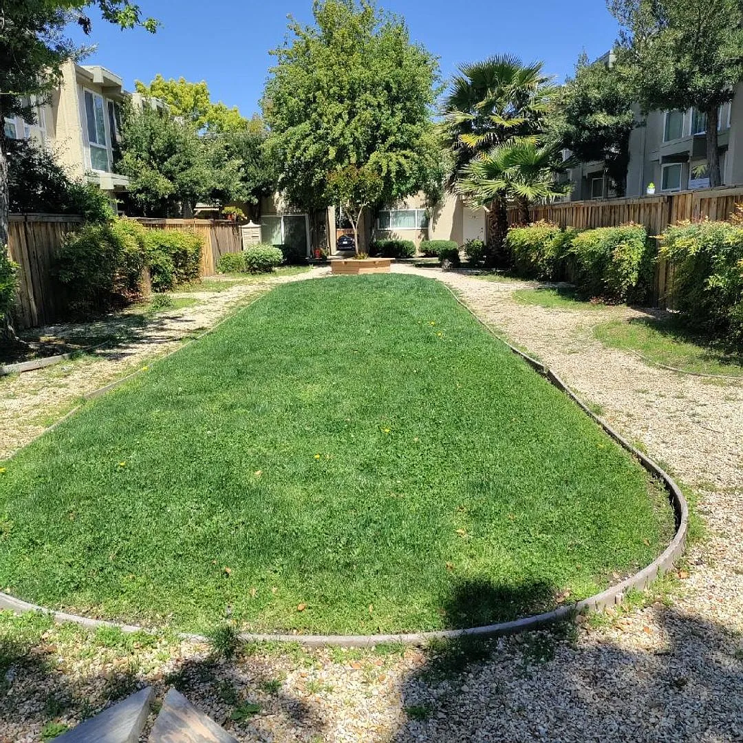 Morningside At Carmichael Apartment Hones — Photo 3