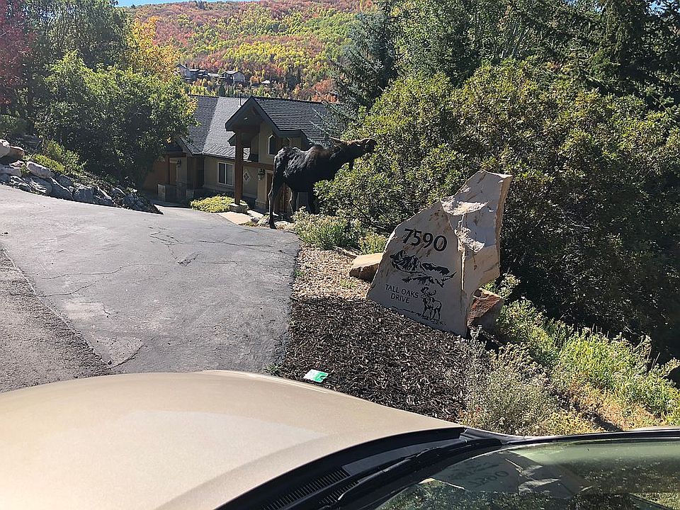 2nd image of 7590 N Tall Oaks Dr