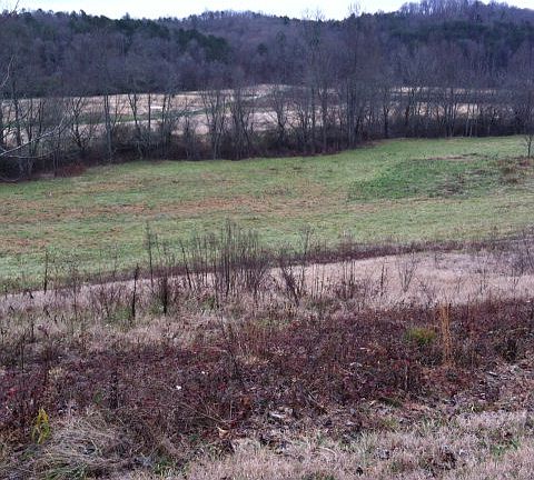4th image of 188 McKee Creek Ln
