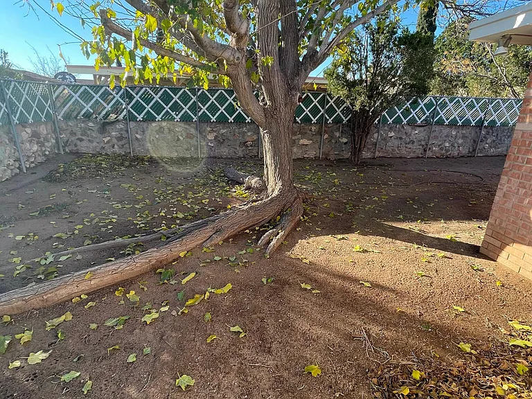 4740 Tumbleweed Ave — Photo 5