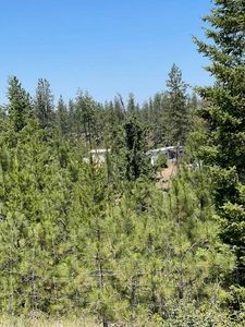 4531C Emilys Way, Springdale, WA, 99173