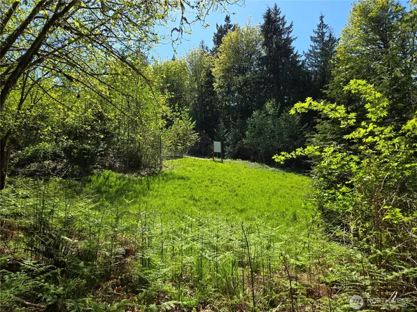 286 XX NE 156th Street, Duvall, WA 98019