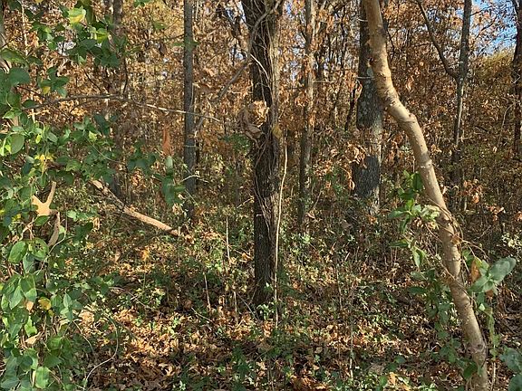 3rd image of 0 Crawford Lake Rd