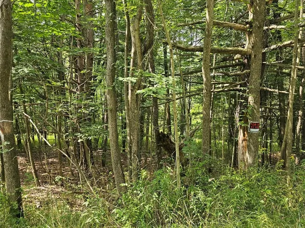 3208 Maxian Rd, Binghamton, NY 13903