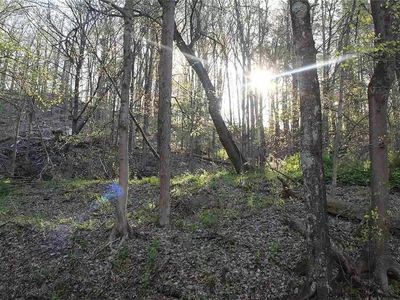 525 Millbrook Road, Connelly, NY, 12417