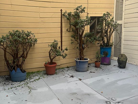 5th image of 423 Union St #423