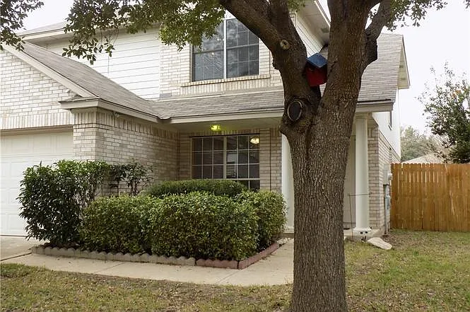 Beautiful oak tree and front yard
