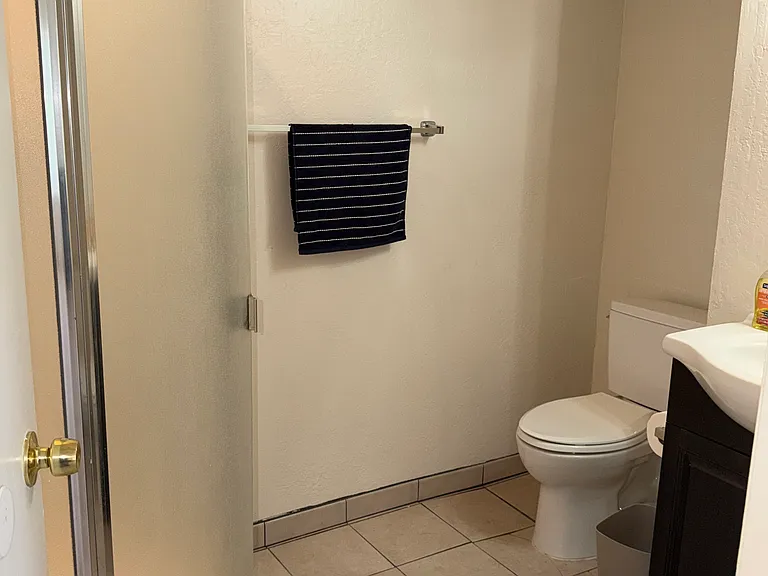 Downstairs Bathroom with Shower