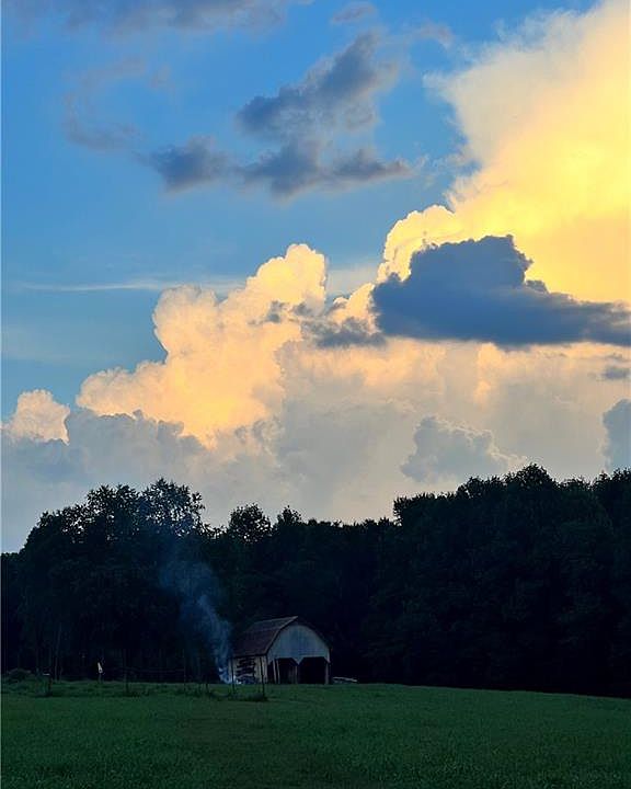 31st image of 5638 Greenhorn Rd