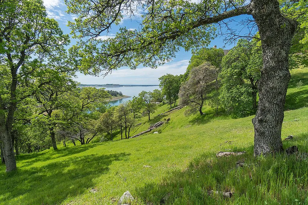 2085 Driftwood Cir photo 1