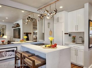 700 W Hopkins Ave #8, Aspen, CO 81611