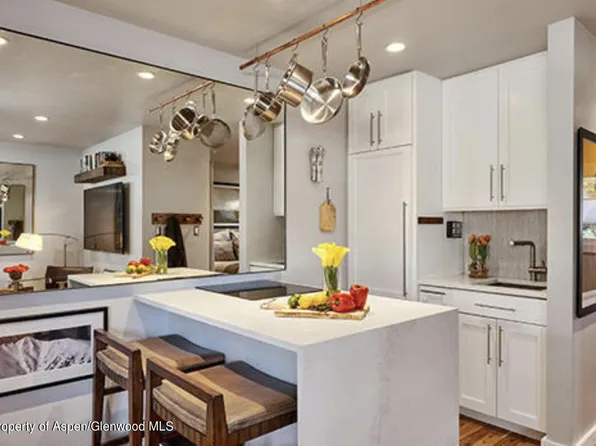 700 W Hopkins Ave #8, Aspen, CO 81611