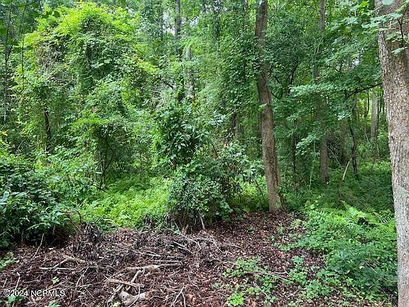 3rd image of 0 Near 2680 Pine Log R Road
