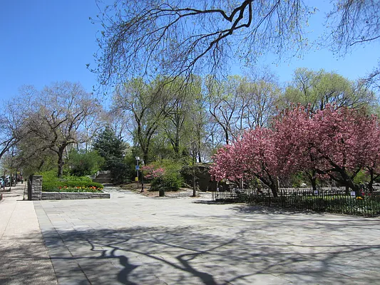 Rented by Rachel Realty | media 30