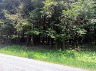 Old Tacy Rd, Bethel, NY 12720