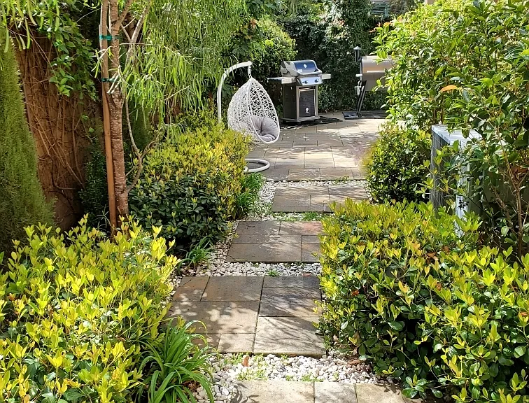 View Toward Backyard Patio