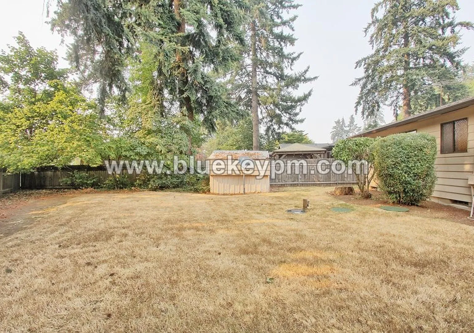 3 Bed/ 2 Bath Home Near Legacy High School and Firstenburg Community Center — Photo 4