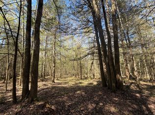 421 Ireland Rd, Windsor, NY 13865