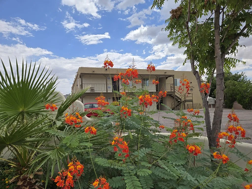 2 bed, 792 sqft, $900 — Photo 3