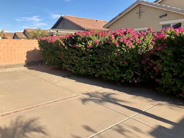 extended patio