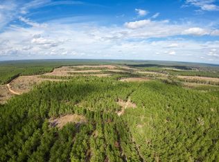 0 Timber Rd, Livingston, TX 77351