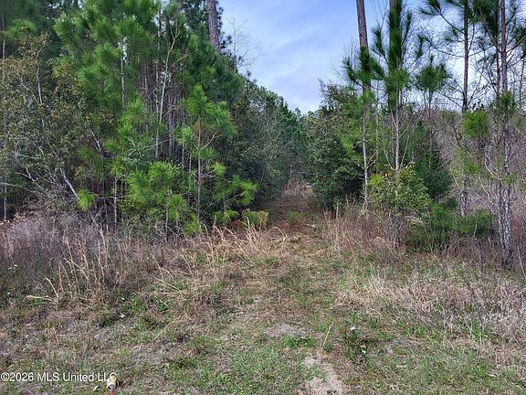 3rd image of 0 Jones Rd