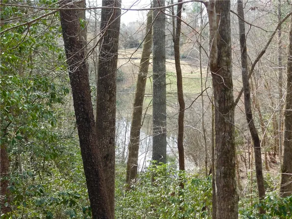 2215 Cleo Chapman Hwy, Sunset, SC 29685