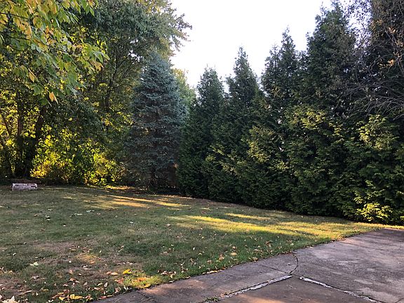 Partially treed backyard with patio