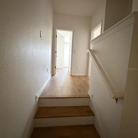 2367 Sedge Grass Way — Photo 25