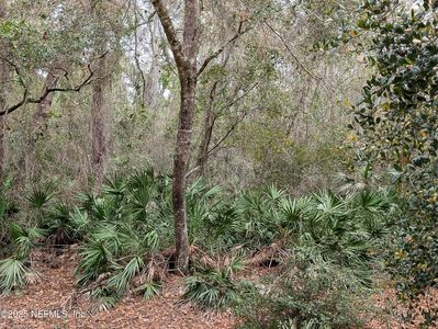 111 CYPRESS Drive, Georgetown, FL, 32139