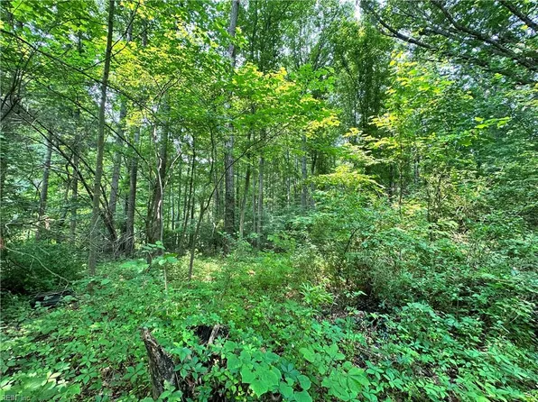 2 ac Mountain View Road, Powhatan, VA 23139