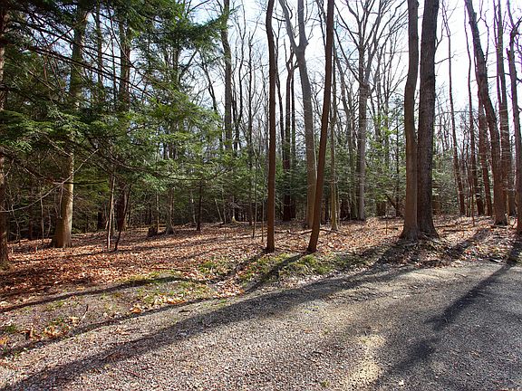 2nd image of 0 Hemlock Dr
