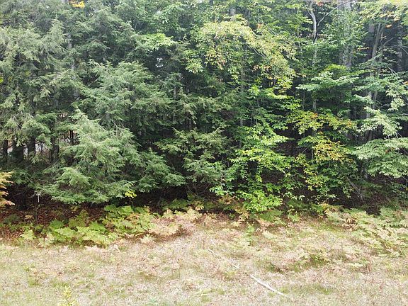 3rd image of 0 Torch Oaks Dr