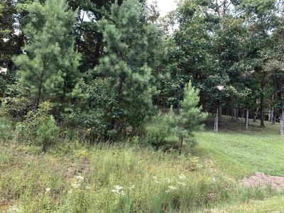 0 The Hills At Queens Gap #98, Blairsville, GA, 30512