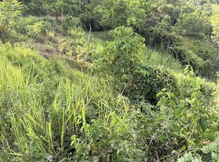 State Highway 785 2.0 4 #KM, Caguas, PR 00727