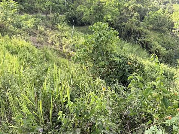 PR 785 KM 2.0 #4, CAGUAS, PR 00727
