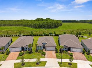 20065 Sea Glass Cir, Land O Lakes, FL 34638